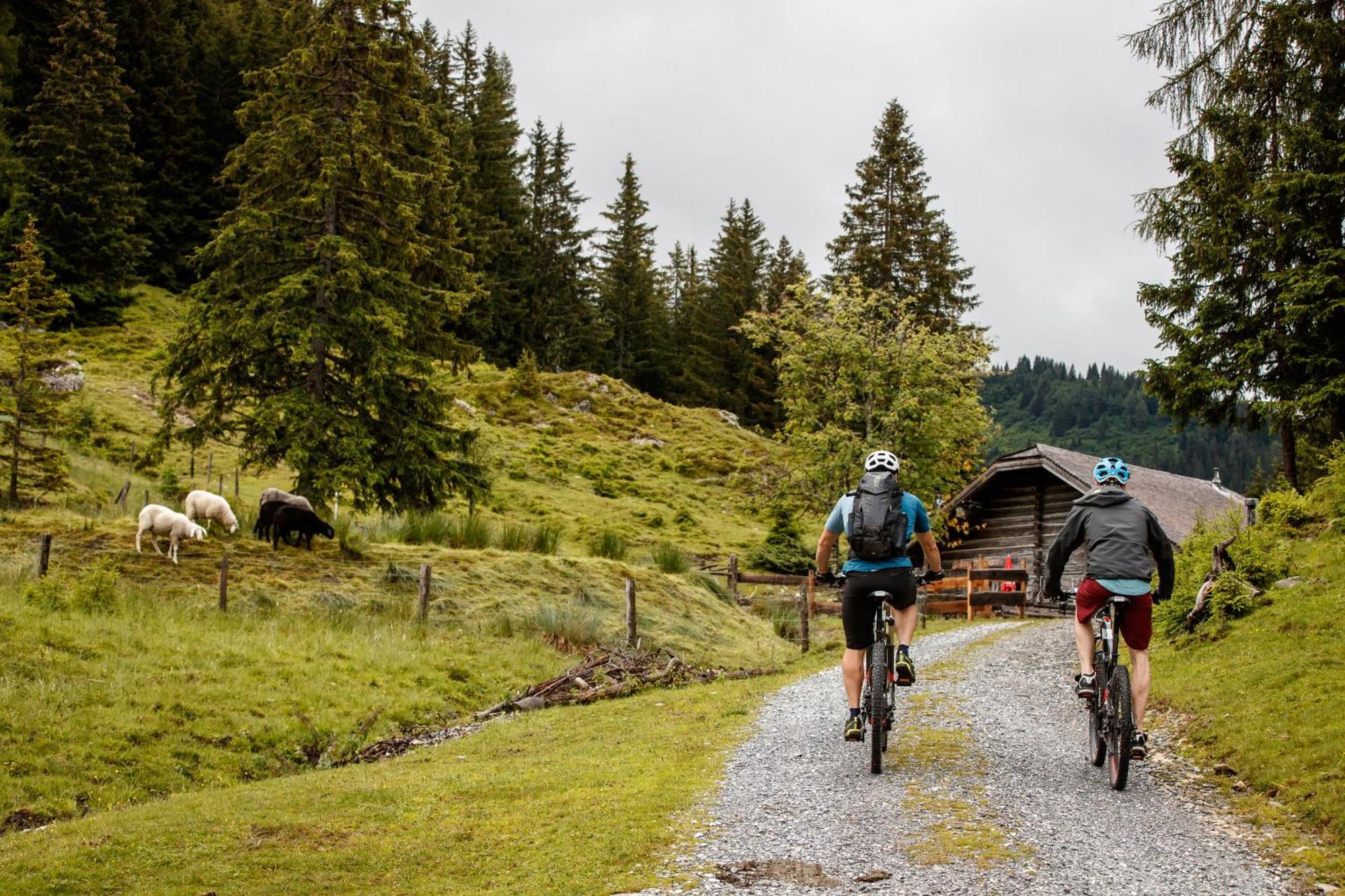 Ferienhaus Sommerbichl Zell am See Buitenkant foto